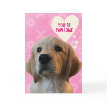 Sie sind PAWSOME Golden Liebe Valentinstag Card