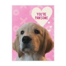 Sie sind PAWSOME Golden Valentine's Day Postcard