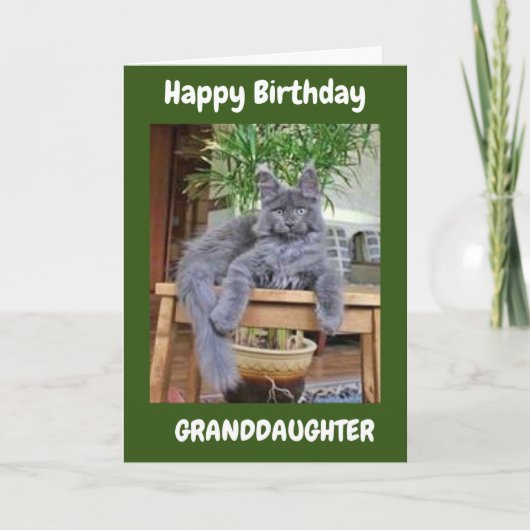 SIE SIND PHANTASTISCH **GRANDDAUGHTER** GEBURTSTAG KARTE (Vorderseite)