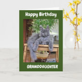 SIE SIND PHANTASTISCH **GRANDDAUGHTER** GEBURTSTAG KARTE (Gelbe Blume)