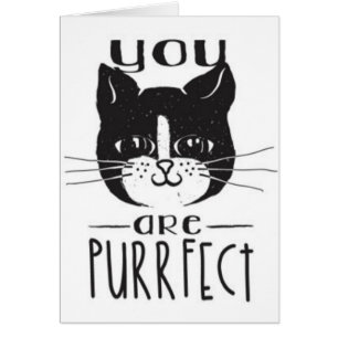 Sie sind Purrfect