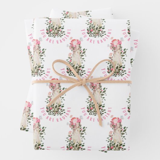 Sie sind Radikale Schwangere, die Papiertücher abp Geschenkpapier Set (Beispiel)