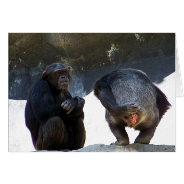 Sie sind so falsch_ Card_by Elenne Boothe (Vorderseite (Horizontal))
