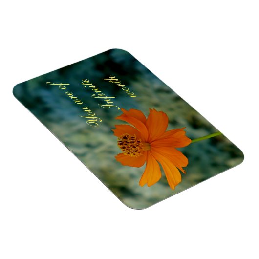 Sie sind unendlich wert magnet (Rechte Seite)