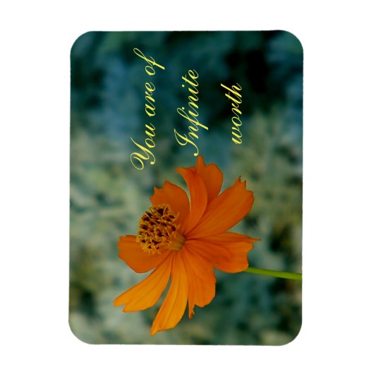 Sie sind unendlich wert magnet (Vertikal)