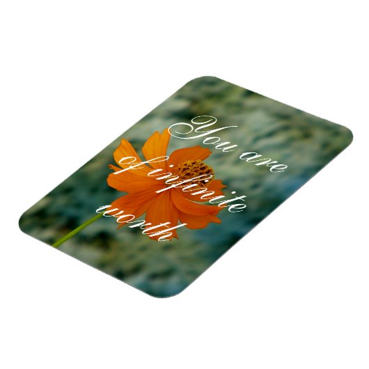 Sie sind unendlich wert magnet (Linke Seite)