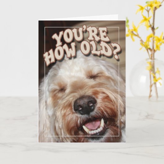 Sie sind, wie alt? karte (Gelbe Blume)