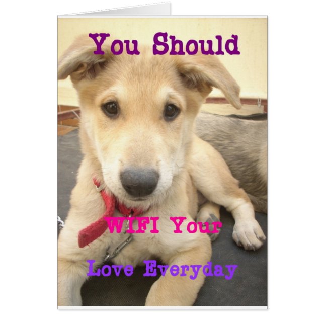 Sie sollten Ihre Liebe jeden Tag WIFI (Vorne)