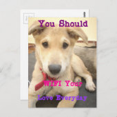 Sie sollten Ihre Liebe jeden Tag WIFI Postkarte (Vorne/Hinten)