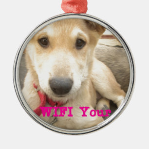 Sie sollten Ihre Liebe jeden Tag WIFI Silbernes Ornament