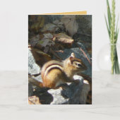 Sie stoppte karte (Vorderseite)