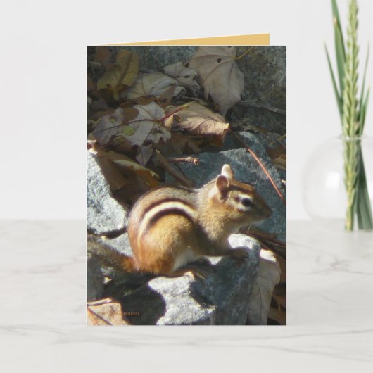 Sie stoppte karte (Vorderseite)