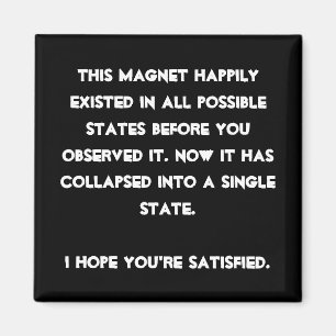 Sie stürzten es ein! Quantums-Physik-Spaß Magnet