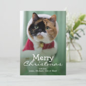 Sie trägt ein Weihnachtskostüm Feiertagskarte (Stehend Vorderseite)