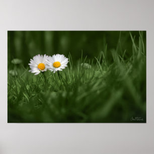 Sie und I zusammen Poster