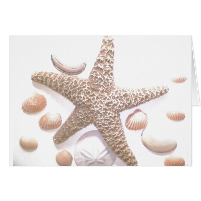 Sie verkauft Muscheln (Vorderseite (Horizontal))