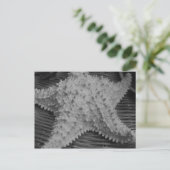 Sie verkauft Muscheln am Meer Postkarte (Stehend Vorderseite)