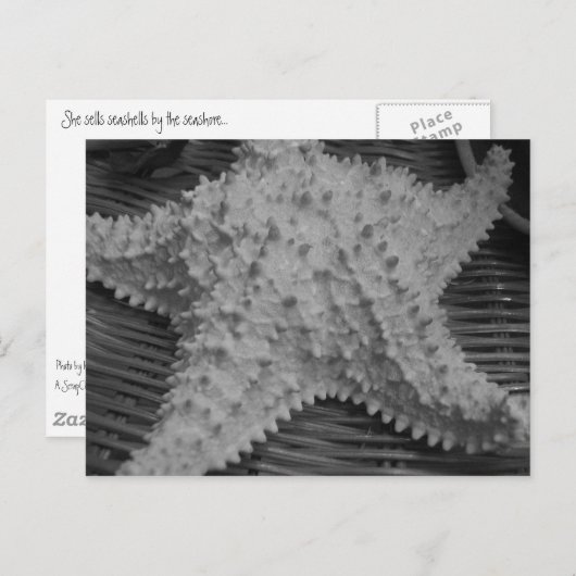 Sie verkauft Muscheln am Meer Postkarte (Vorne/Hinten)