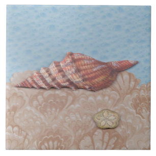Sie verkauft, Muscheln Fliese