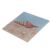 Sie verkauft, Muscheln Fliese (Seite)