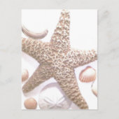 Sie verkauft Muscheln Postkarte (Vorderseite)