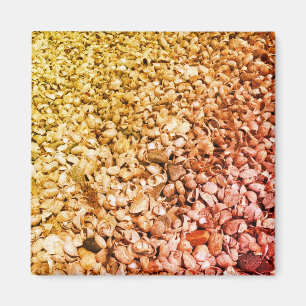 Sie verkauft Ombre Seashells Magnet