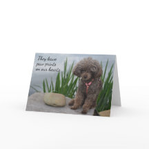 Sie Verließ Pawprints auf unserem Herz-Haustier-Be