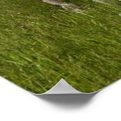 Sie waren Gepunktet Poster (Ecke)