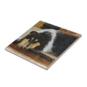 Sie wartet Tri Color Collie Fliese (Seite)