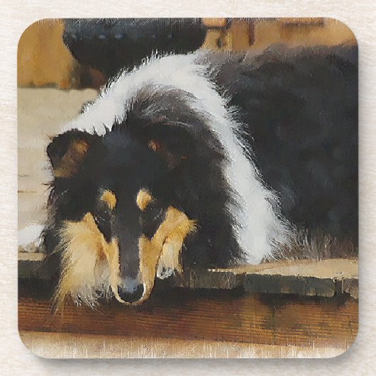 Sie wartet Tri Color Collie Getränkeuntersetzer (Vorderseite)