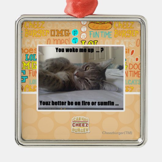 Sie weckten mich oben ornament aus metall (Vorne)