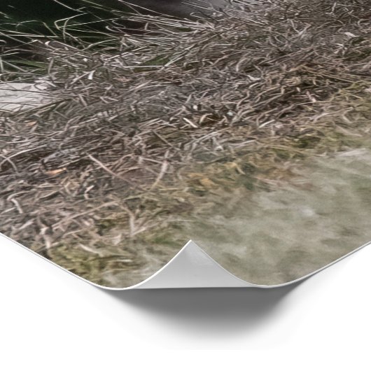 Sie werden beobachtet poster (Ecke)