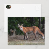 Sie werden beobachtet postkarte (Vorne/Hinten)