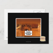 Sie werden dich finden postkarte (Vorne/Hinten)