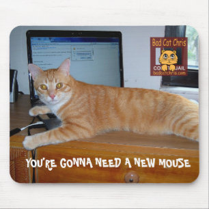 Sie werden eine neue Maus benötigen Mousepad