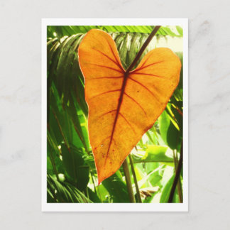 "Sie werden geliebt " Postkarte