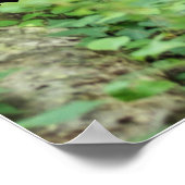 SIE WERDEN NIE ALLEIN GEHEN POSTER (Ecke)