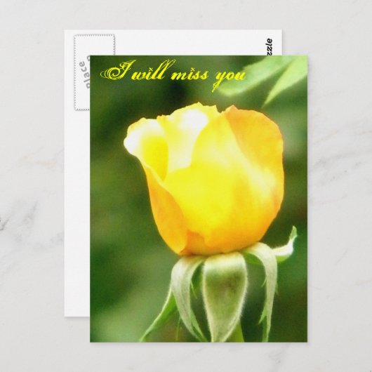 Sie werden verpasst/Any Occasions_Postcard Postkarte (Vorne/Hinten)