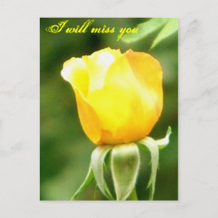 Sie werden verpasst/Any Occasions_Postcard Postkarte