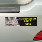 Sie wie ein Chef verlangsamen Autoaufkleber (Auf Auto)