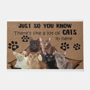 Sie wissen nur, dass sie viele Katzen hat Fußmatte