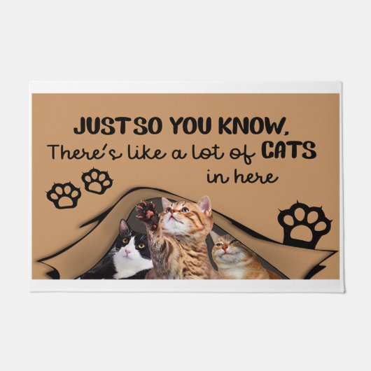 Sie wissen nur, dass sie viele Katzen hat Fußmatte (Vorderseite)