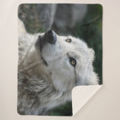 SIE WOLF SHERPADECKE (Vorderseite)