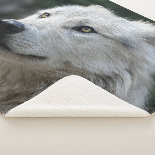 SIE WOLF SHERPADECKE (3/4)