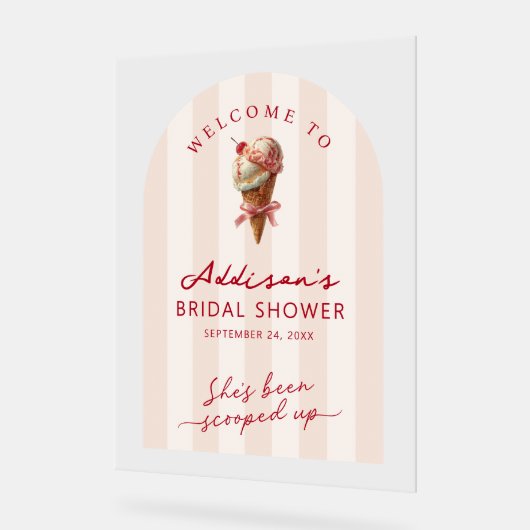 Sie wurde ins Brautparty geschoben Begrüßung Acrylschild (Winkel)