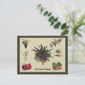 Sieben Arten Postkarte (Stehend Vorderseite)