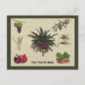 Sieben Arten Postkarte (Vorderseite)