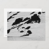 Sieben bis zum Gipfel Postkarte (Vorne/Hinten)