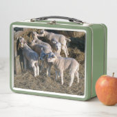 Sieben Hungerlämmer Metall Brotdose (Beispiel)