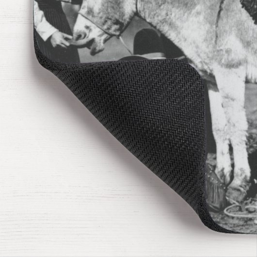 Sieben Rodeo-Cowgirls, die im Scherz mit einem Mousepad (Ecke)